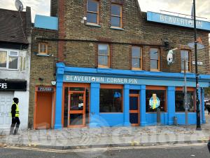 Beavertown Corner Pin