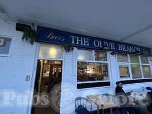 The Olive Branch