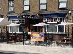 Picture of The Volunteer