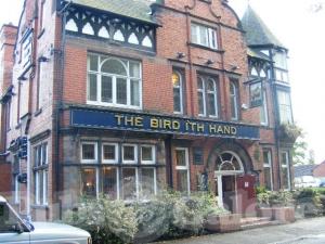 Picture of Bird I'th Hand