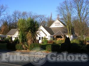 Picture of Bulls Head