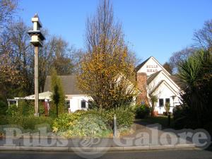 Picture of Bulls Head
