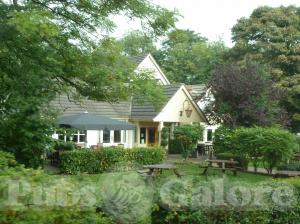 Picture of Bulls Head