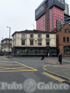 Picture of Bulls Head