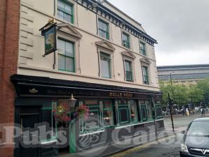 Picture of Bulls Head