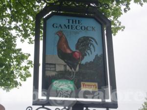 Picture of The Gamecock