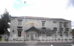 Picture of Golden Lion