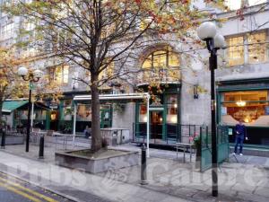 Picture of The Old Grapes