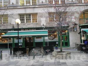 Picture of The Old Grapes