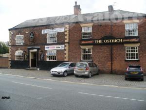 Picture of The Ostrich