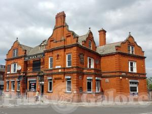 Picture of The Black Bull