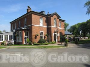 Picture of The Sparrowhawk