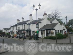 Picture of Bold Arms