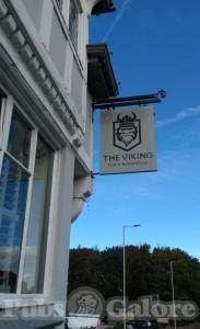 Picture of The Viking