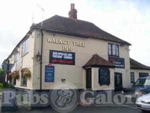 Picture of The Walnut Tree