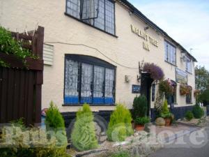 Picture of The Walnut Tree