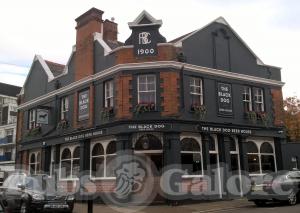 Picture of The Black Dog Beer House