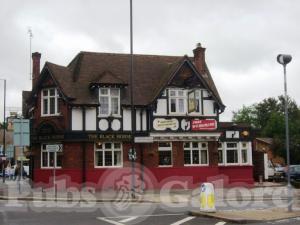 Picture of Black Horse