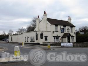 Picture of The White Bear