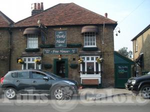 Picture of Turks Head