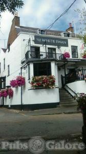 Picture of The White Swan