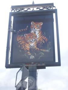 Picture of Tiger Cubs