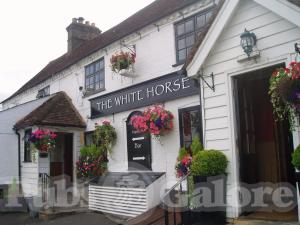 Picture of The White Horse