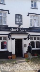 Picture of The Black Swan