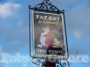 Picture of Fat Cat and Canary