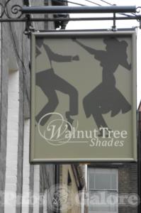 Picture of The Walnut Tree Shades