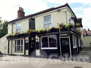 Picture of The Whalebone