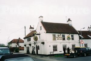 Picture of The Black Swan