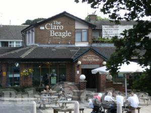 Picture of The Claro Beagle