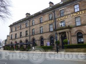 Picture of The Fat Badger @ White Hart Hotel