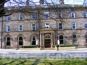 Picture of The Fat Badger @ White Hart Hotel