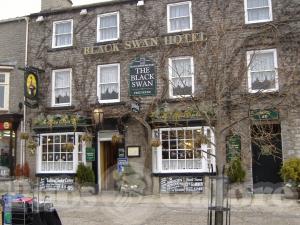 Picture of The Black Swan