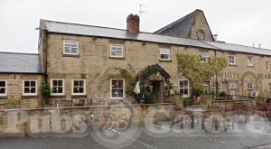 Picture of The White Bear