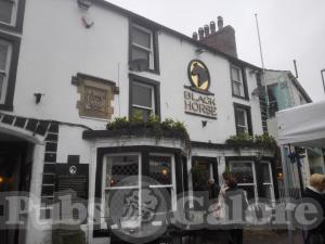 Picture of Black Horse