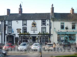 Picture of Black Horse