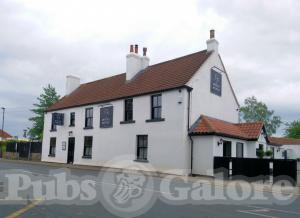 Picture of The White Horse