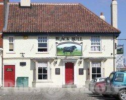 Picture of Black Bull