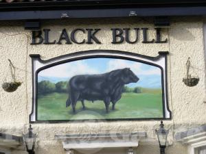 Picture of Black Bull