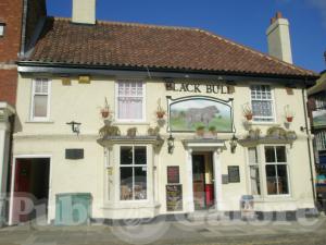 Picture of Black Bull