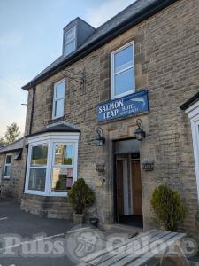 Picture of The Salmon Leap