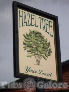 Picture of The Hazel Tree