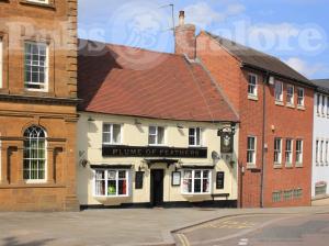 Picture of Plume Of Feathers