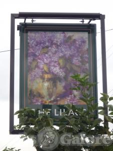 Picture of The Lilacs