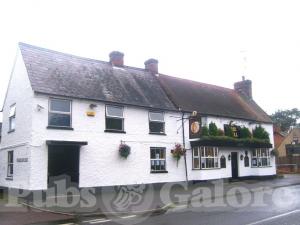 Picture of The Bull