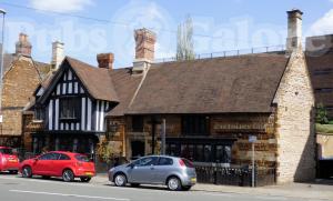 Picture of Golden Lion