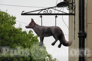 Picture of The Fox